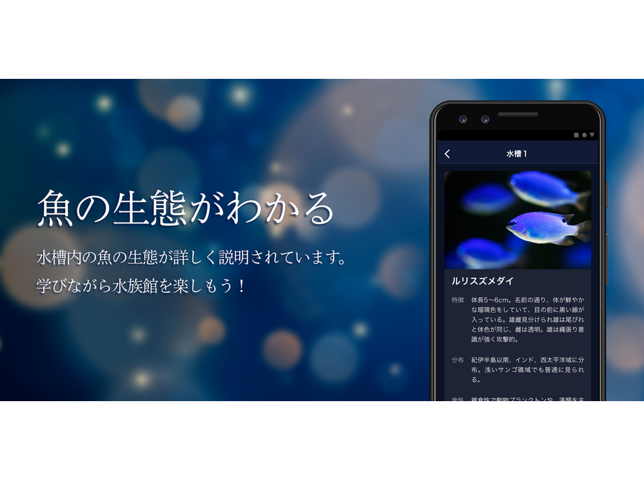 アイティベル、独自の図鑑アプリをリリース