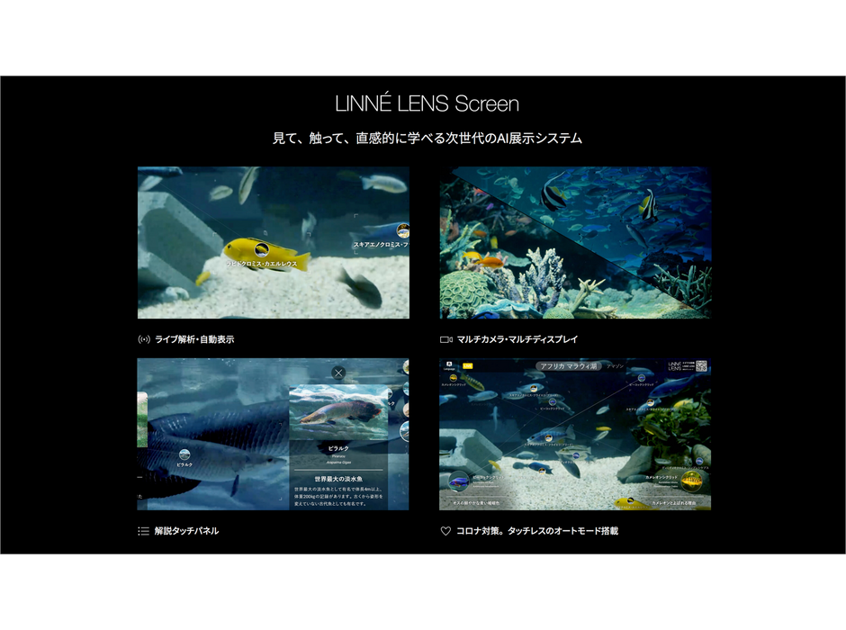 Linne、「LINNE LENS Screen」の施設向けプランの提供を開始