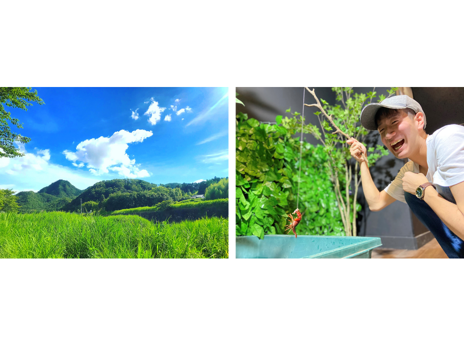 神戸動植物環境専門学校、特別企画展「日本の夏の自然」を開催