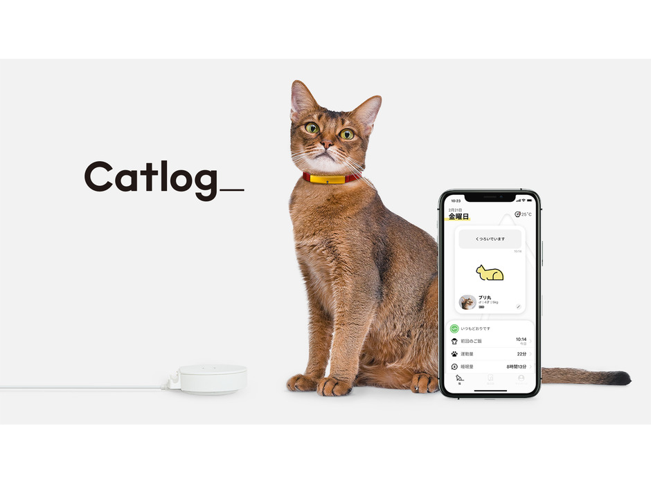 「猫様のためのラジオ～Radio For Cats」をCatlogがサポート