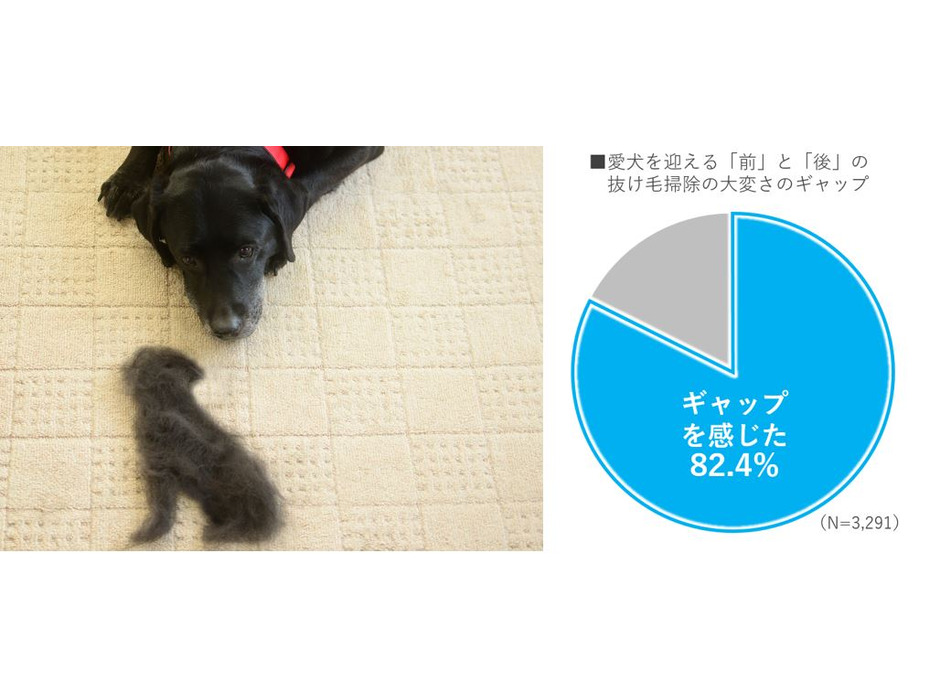 パナソニック、“愛犬の抜け毛”をテーマにアンケート調査を実施