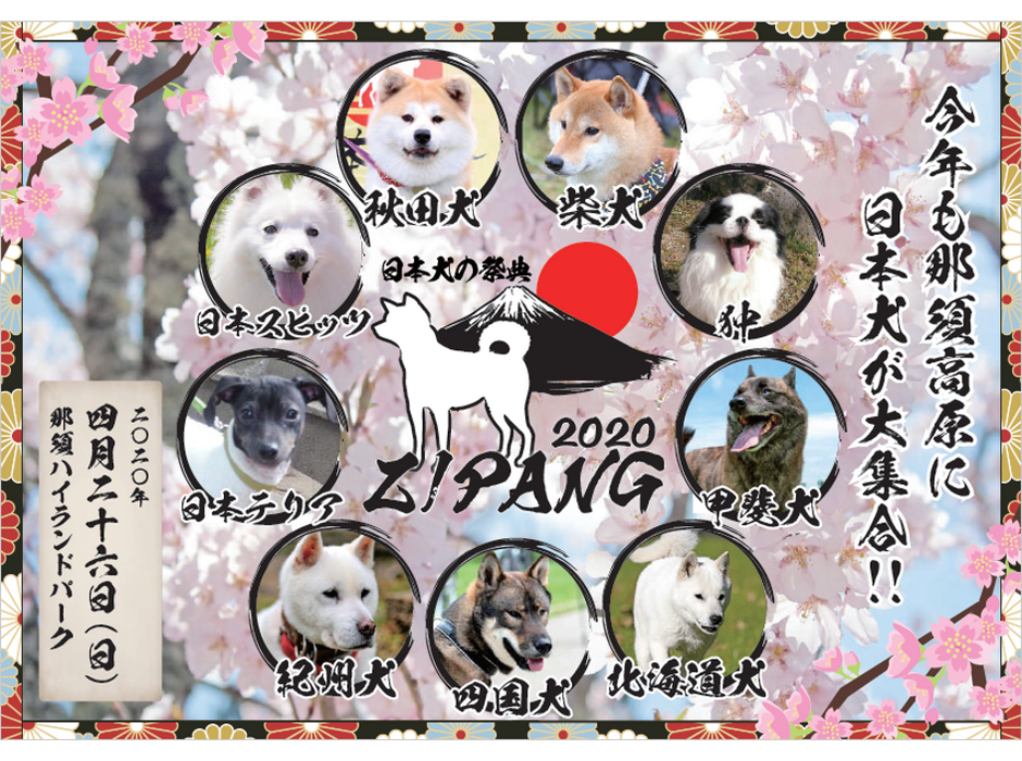 日本犬の祭典ZIPANG2020