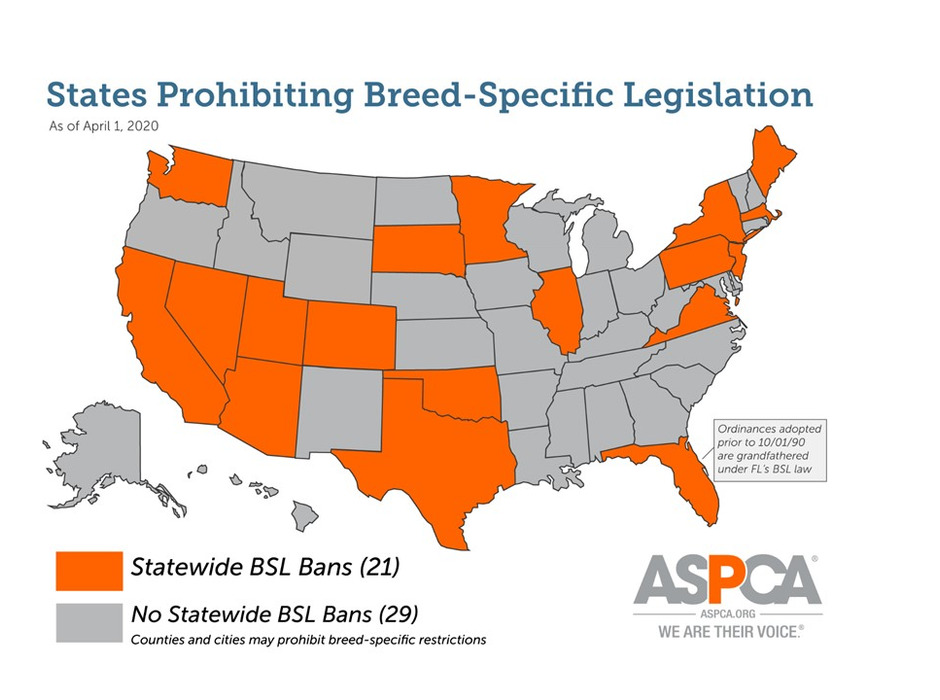 アメリカで「特定犬種規制法」が禁止されている州
