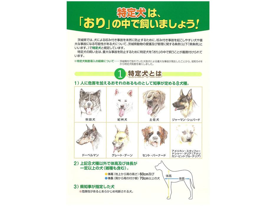 茨城県の「特定犬」に関するパンフレット１