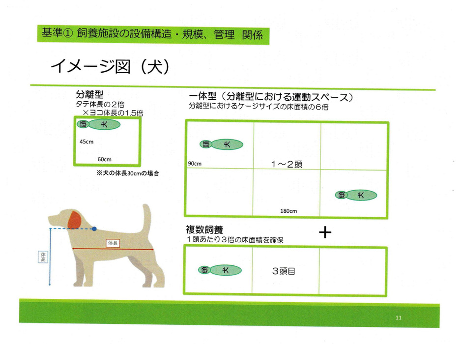 飼育スペースのイメージ図
