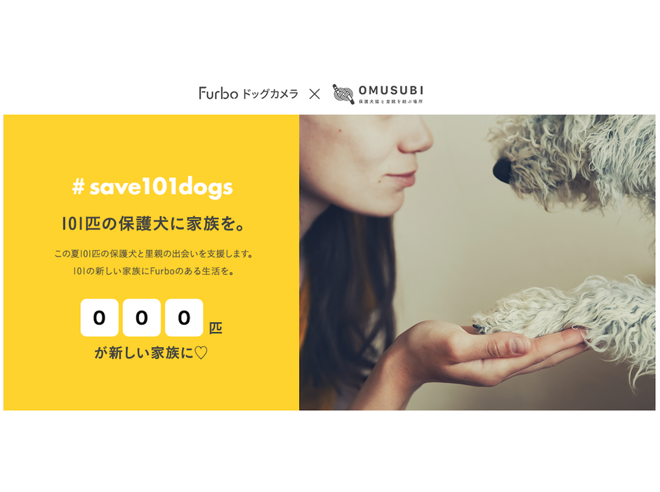 Tomofun、保護犬支援プロジェクト「#save101dogs」を 始動