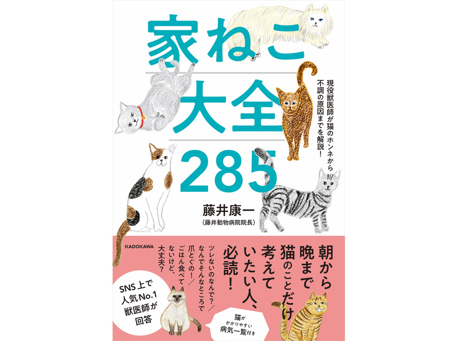 KADOKAWA、「現役獣医師が猫のホンネから不調の原因までを解説！ 家ねこ大全 285」を刊行