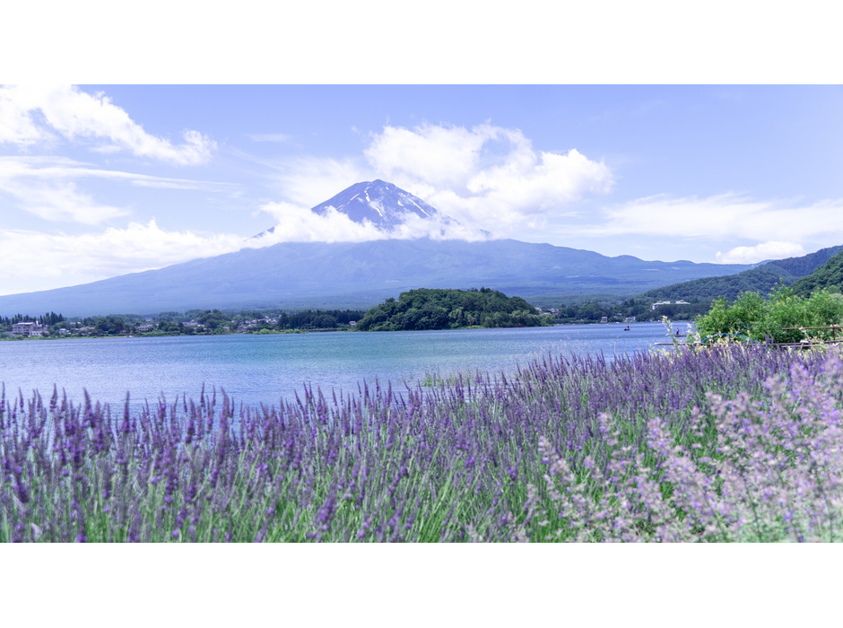 河口湖畔の大石公園からは富士山がバッチリ