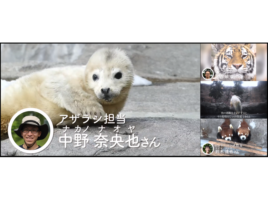 auスマートパスプレミアム会員向けに、新感覚動物園体験「one zooマルチアングル動画」提供開始（KDDI）