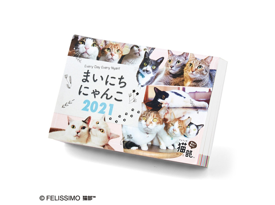 フェリシモ、日めくりカレンダー「まいにちにゃんこ2021」と「まいにちわんこ2021」を発売