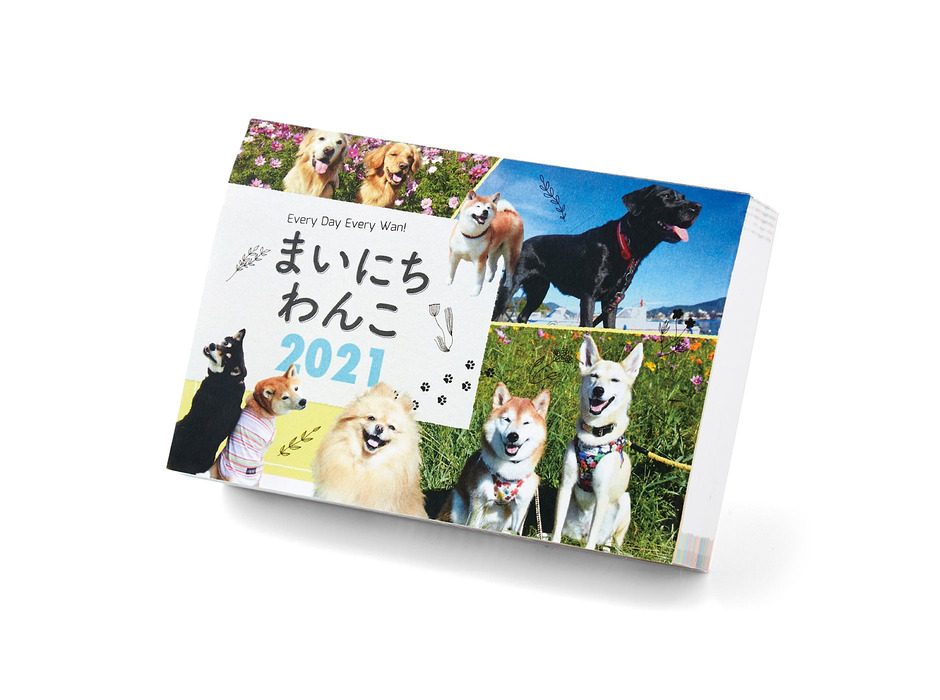 フェリシモ、日めくりカレンダー「まいにちにゃんこ2021」と「まいにちわんこ2021」を発売