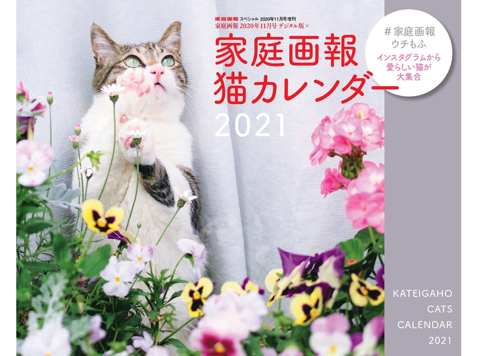 世界文化社、「家庭画報 猫カレンダー2021」を発売