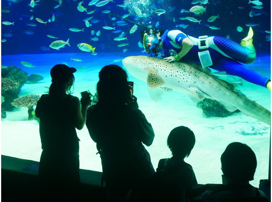 サンシャイン水族館、“何か”が起きている新企画「いきものディスカバリー」をスタート