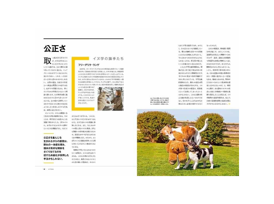 ナショナル ジオグラフィック、ビジュアル書籍「犬の能力 素晴らしい才能を知り、正しくつきあう」を刊行