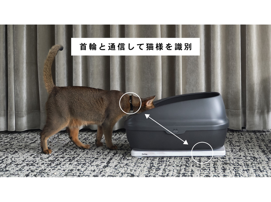 RABO、いつものトイレで猫の体重と尿量・回数を自動で記録する「Catlog Board」を発表