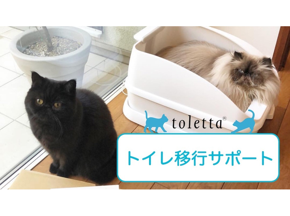 トレッタキャッツ、toletta利用全猫対象に「トイレ移行サポート」をスタート