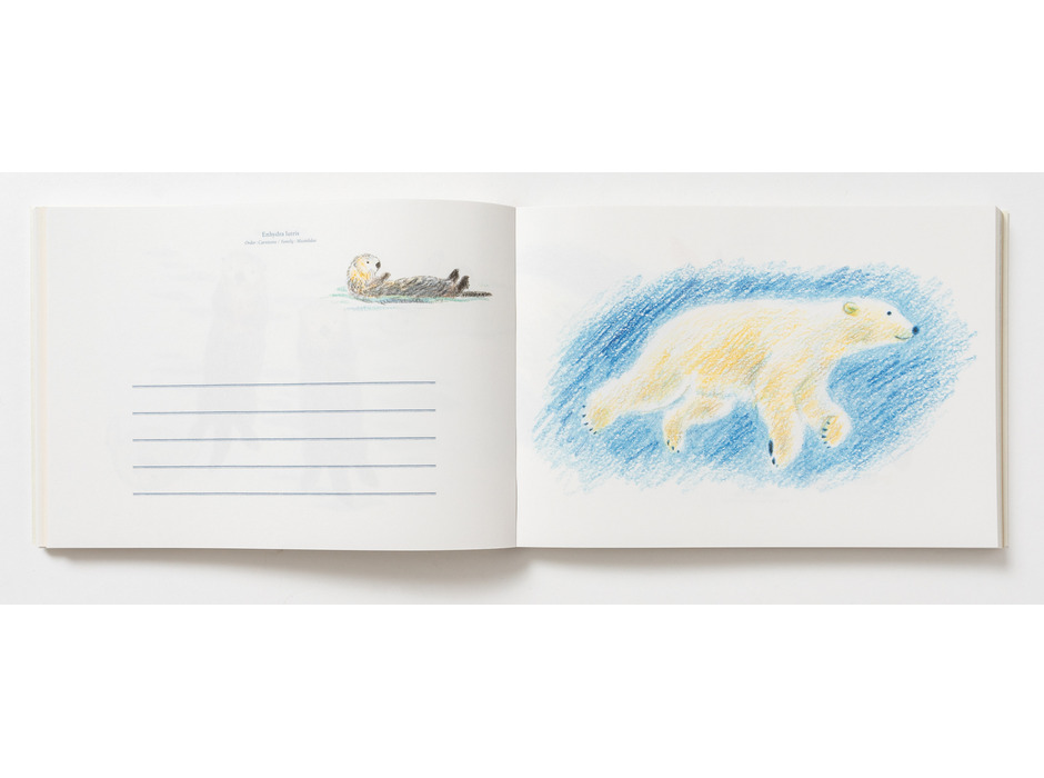 パイ インターナショナル、「秋草愛の どうぶつ 100枚レターブック」を刊行