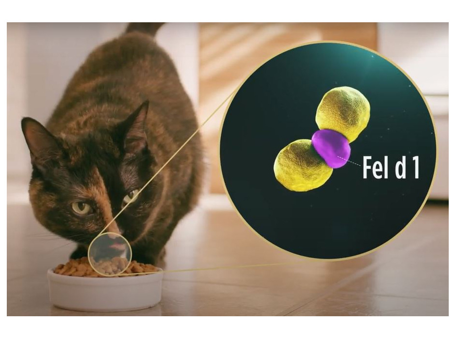 ネスレ日本、猫アレルギーの原因物質を中和する「ピュリナ プロプラン リブクリア」を発売