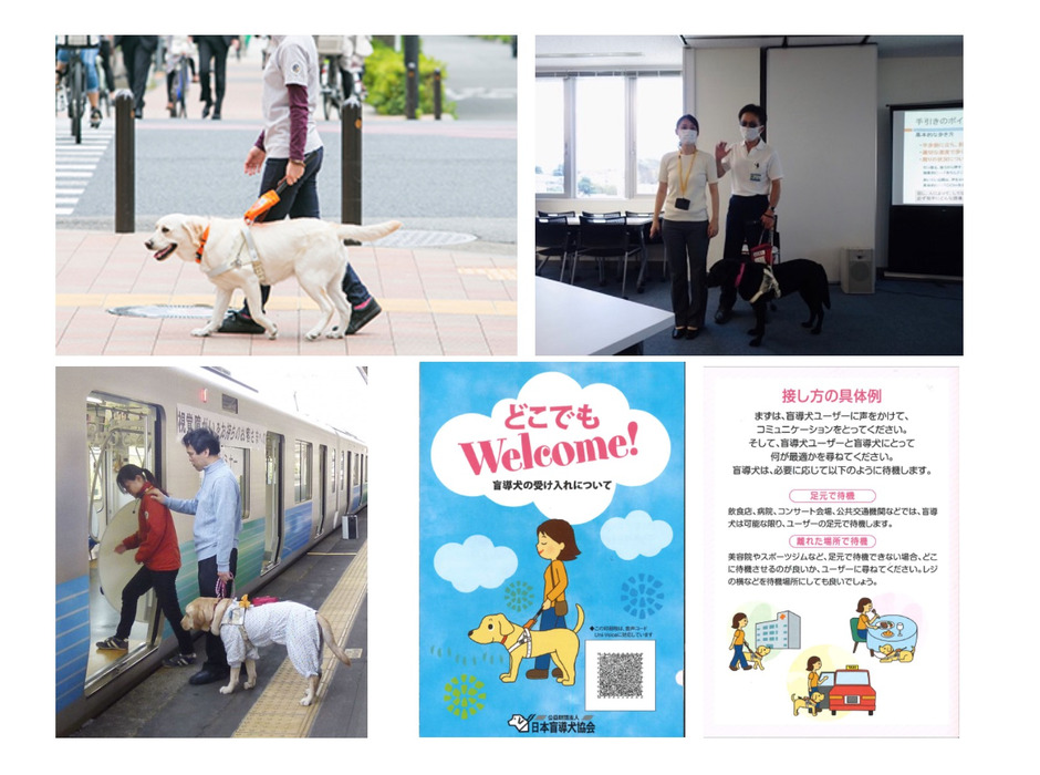 「盲導犬ユーザー受け入れ・接客セミナー」、オンラインで開催