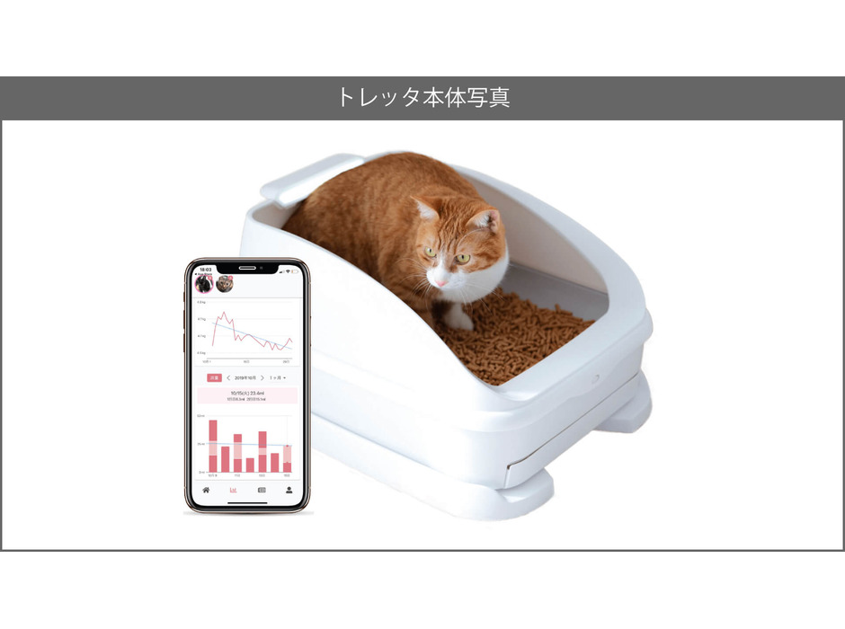 トレッタキャッツ、米国で開催される「Cat Summit」に日本代表として選出