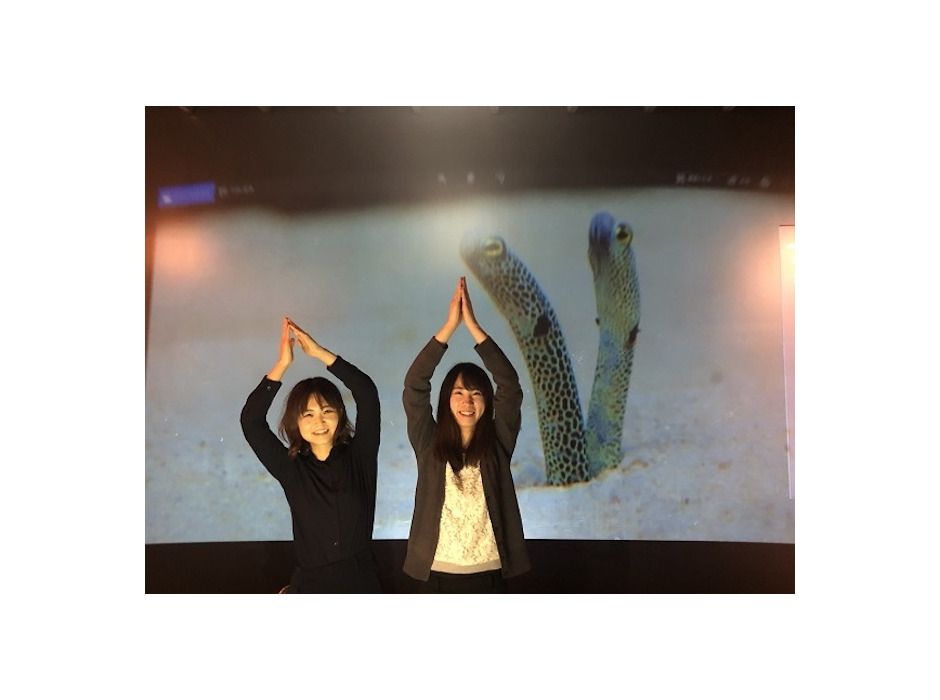 京都水族館、「11月11日はチンアナゴの日 2020」を開催