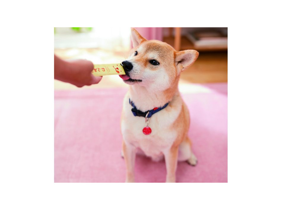 新日本カレンダー、犬用ペーストおやつ「わんみぃ ビーフ味」を発売