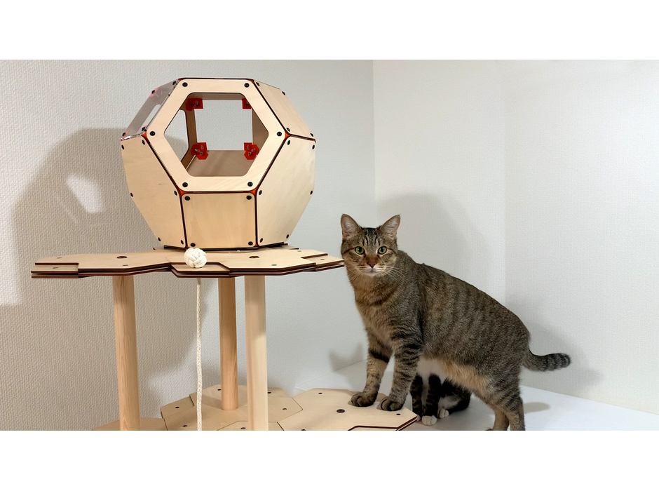 愛猫の運動不足解消に、猫のプライベート空間「にゃんこカプセル」発売