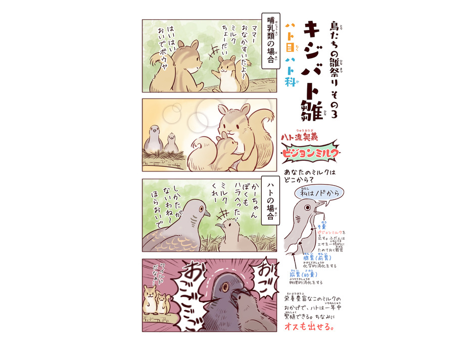 生き物漫画「わいるどらいふっ！2 身近な生きもの観察図鑑」刊行