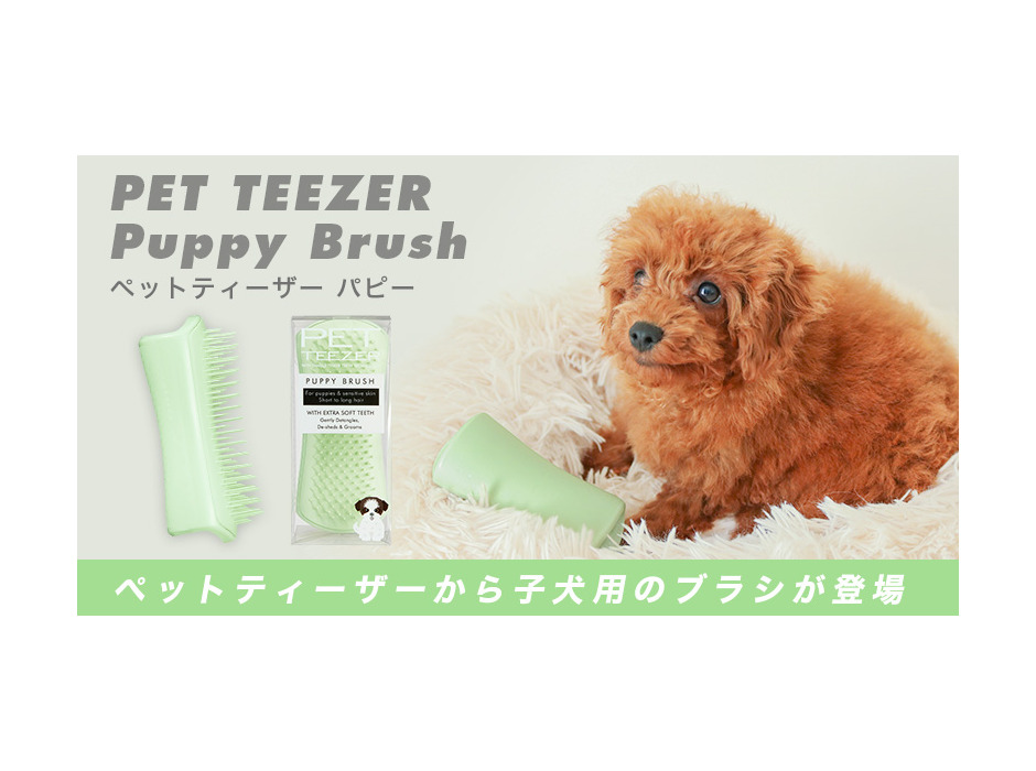 子犬用ヘアケアブラシ「ペットティーザー パピー」発売