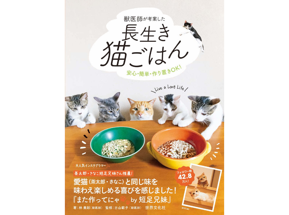 世界文化社、書籍「獣医師が考案した長生き猫ごはん」を刊行