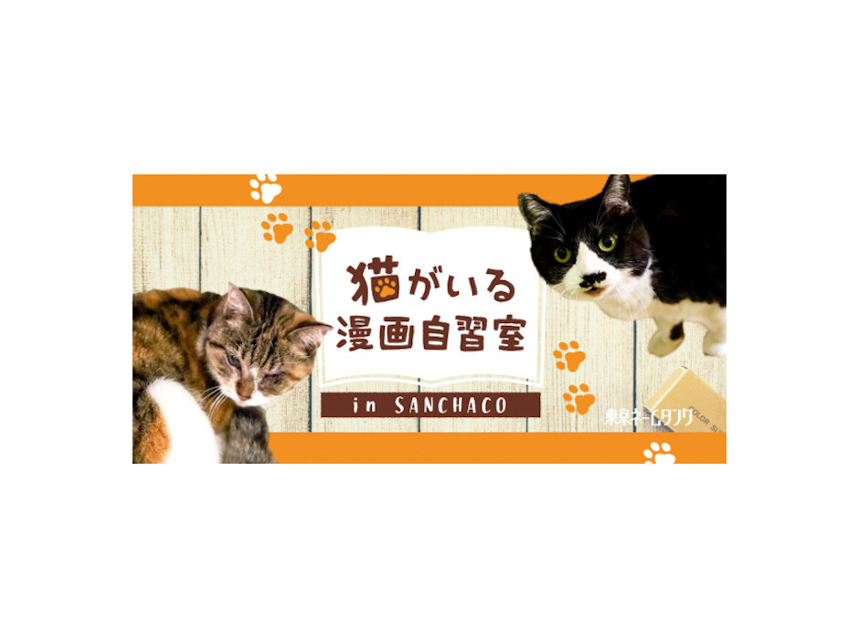 「猫がいる漫画自習室 in SANCHACO」
