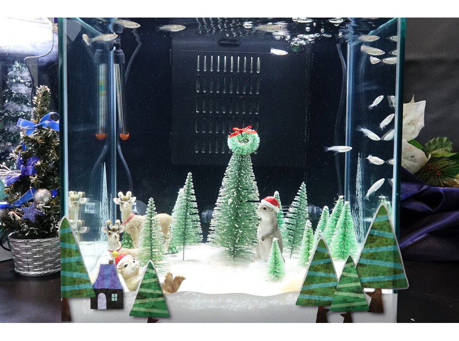 クリスマス特別水槽「ホワイトクリスマス」
