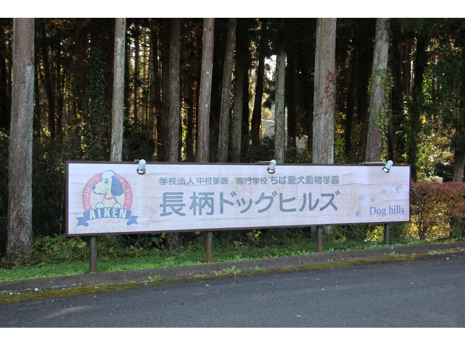 ちば愛犬動物フラワー学園