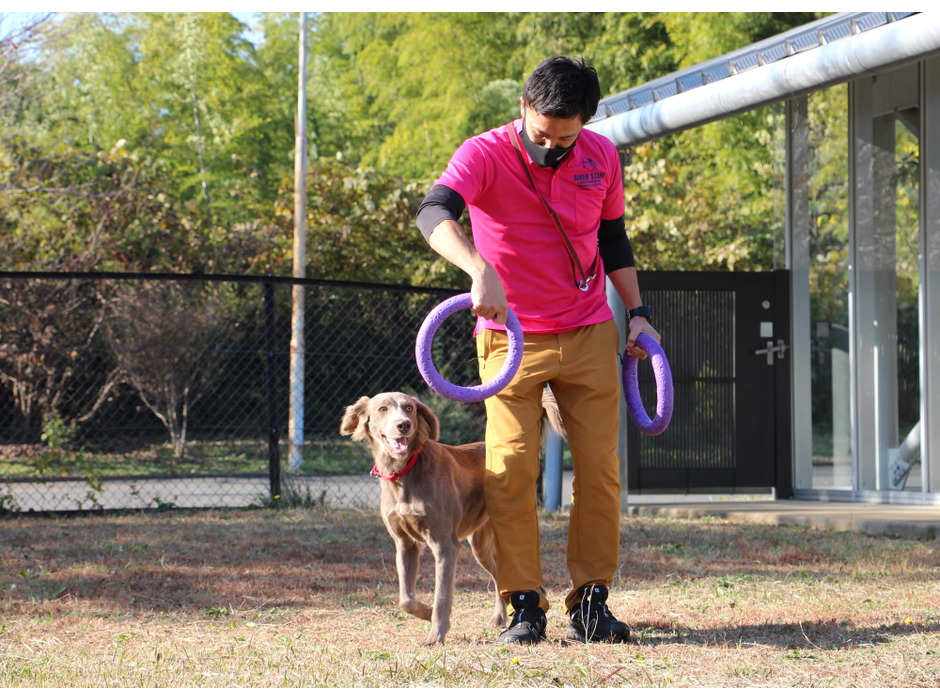ドッグプレイニングTOY「PULLER（プラー）」で犬との信頼関係を築く