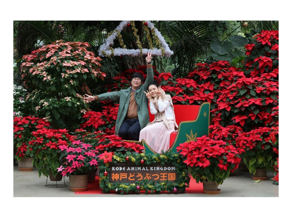 神戸どうぶつ王国、本物のトナカイと過ごす「王国のメリークリスマス」を開催