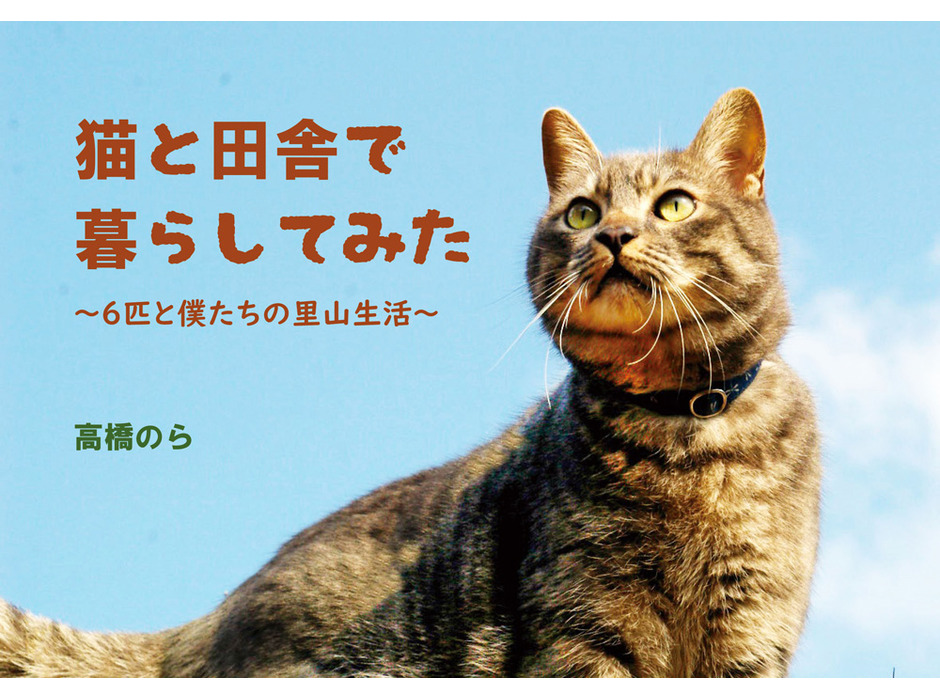 昭文社、猫満載の新ブランド「にゃっぷる」を立ち上げ21年1月下旬に刊行