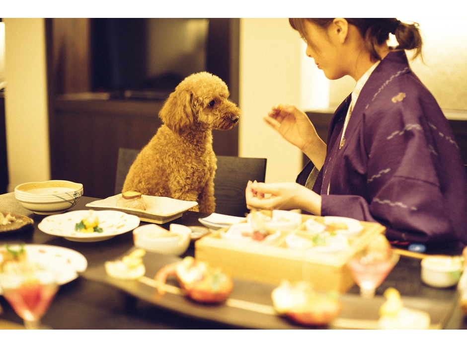 「愛犬と泊まれる宿D＋KIRISHIMA」、大切な記念日を一緒に祝えるサービス導入（霧島観光ホテル）