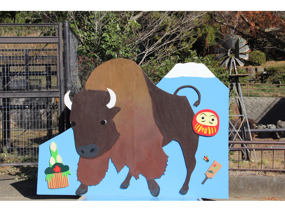 静岡市立日本平動物園、「干支展（丑）～ハッピー・ぎゅー・イヤー～」を開催