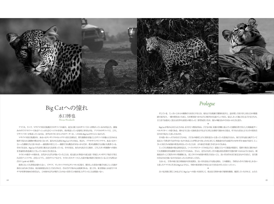 「世界で一番美しい野生ネコ図鑑」、誠文堂新光社より刊行