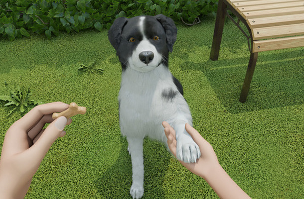 ワンちゃんを子犬から育てる『Dog Trainer』発表！ 犬を飼うことの喜びと責任を体験