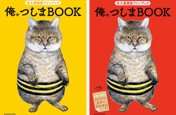今夏アニメ化決定記念『俺、つしまBOOK』、小学館より刊行