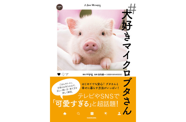 マイクロブタ飼育本『＃大好きマイクロブタさん』、KADOKAWAより刊行