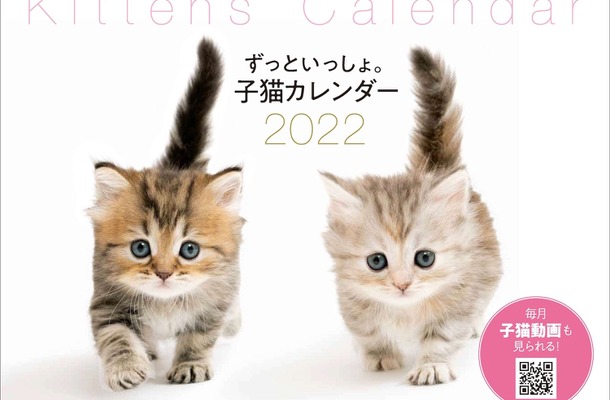 カレンダー「ずっといっしょ。子猫カレンダー2022」発売