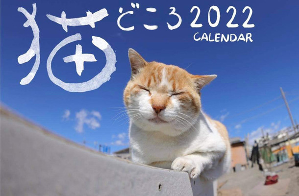 各地で出会った猫たちの写真でつづる「猫どころ 2022 CALENDAR」発売