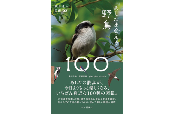 『散歩道の図鑑 あした出会える野鳥100』