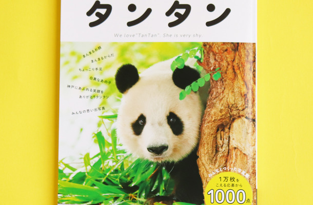 フェリシモ、写真集「神戸市立王子動物園のシャイなパンダ タンタン」を刊行