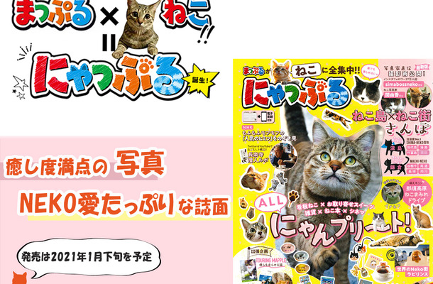 昭文社、猫満載の新ブランド「にゃっぷる」を立ち上げ21年1月下旬に刊行