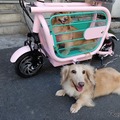 愛犬と一緒に乗れる電動バイク「モペット」