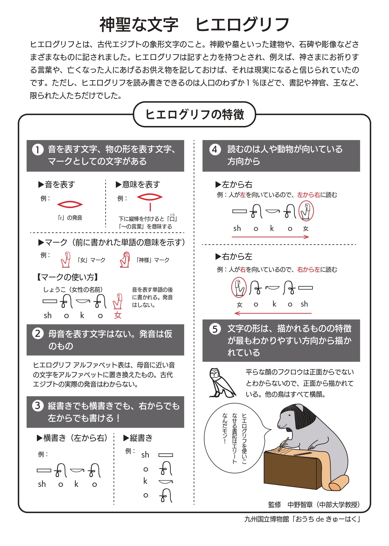 九州国立博物館 特集展示 きゅーはく どうぶつえん を開催 6月2日から7月12日 8枚目の写真 画像 動物のリアルを伝えるwebメディア Reanimal