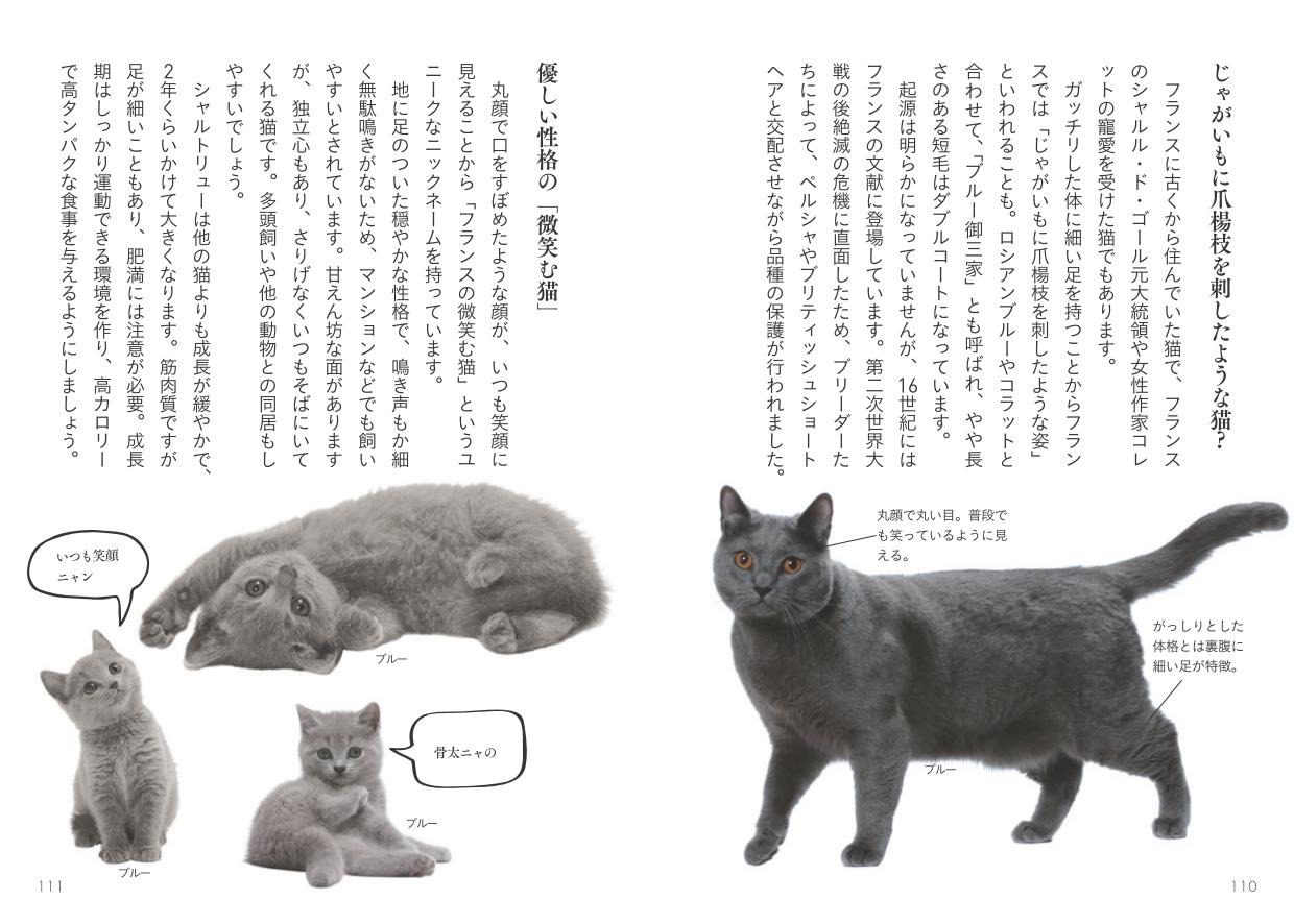 大和書房 世界中で愛される美しすぎる猫図鑑 を刊行 8枚目の写真 画像 動物のリアルを伝えるwebメディア Reanimal